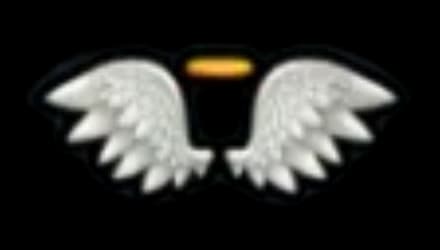 CUPID WINGS