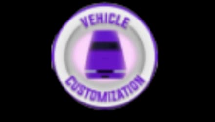 CUSTOMIZAÇÃO DE VEÍCULO